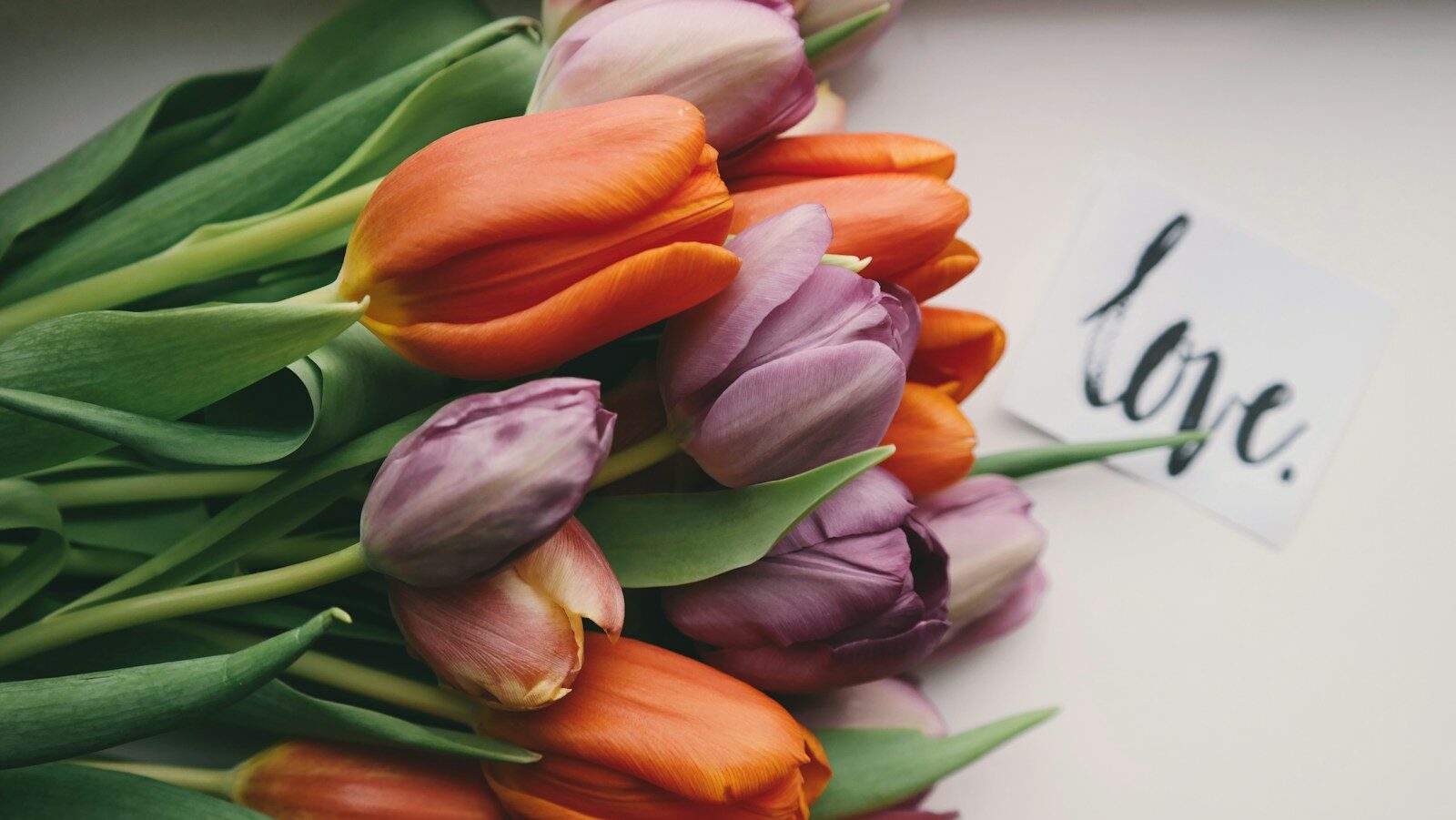 purple and orange tulips on white surface